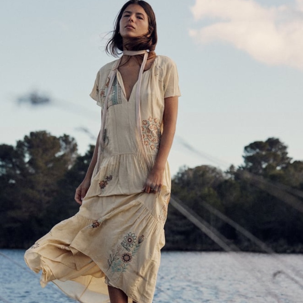 Zara embroidered dress LIMITED EDITION large